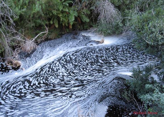 A photo of a mountain pool surrounded by walls covered in plants hanging over the pool.
The surface of the pool is covered in fine white foam shaped in patterns by the flow of the river. Movement of the water is from top left to bottom right
The water visible below the foam is a dark reddish brown colour