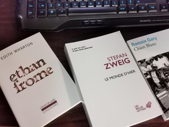Livres, Ethan Frome d'Edith Warthon, Le Monde d'hier de Stefan Zweig et Chien Blanc de Romain Gary
