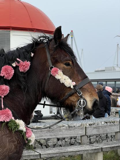 Draft horse head with pompoms.
