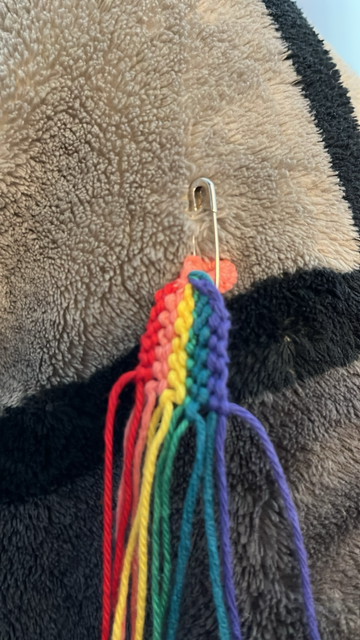 Braided friendship bracelet in rainbow/ LGBTQ colors 