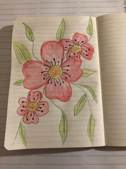 Rosa Anemonen mit Aquarell auf liniertem Papier.