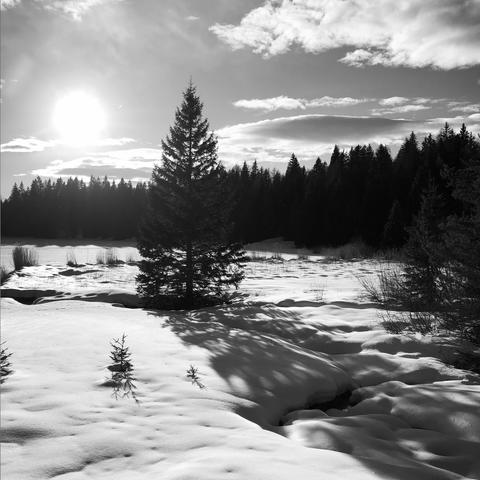 Un prato coperto di neve vicino al lago montano ghiacciato con il sole che splende