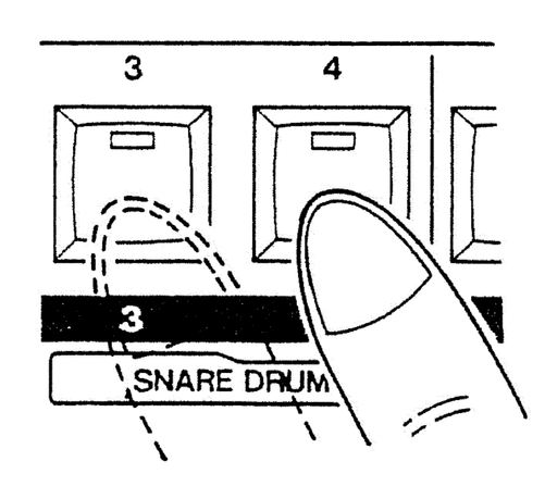 drawing depicting a finger moving over the keypad of a TR909 drum machine