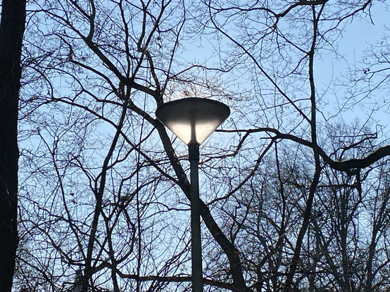 Lantaarnpaal met kegel armatuur verlicht door de zon 