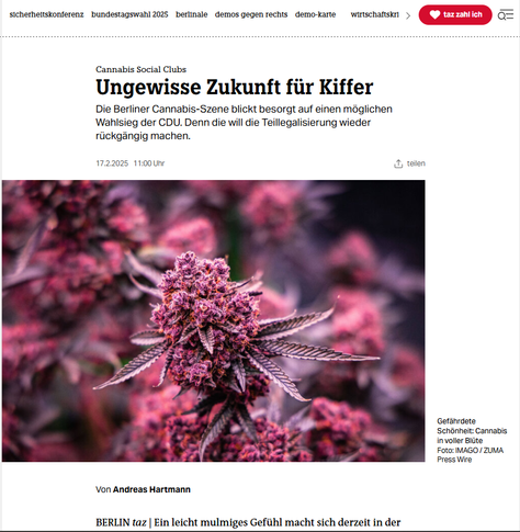 Internet Screenshot taz 7.02.2025 zu Dokumentationszwecken
Bild einer Cannabispflanze in der Blüte, leicht farblich verfremdet, dazu der Text und Artikel
Cannabis Social Clubs
Ungewisse Zukunft für Kiffer
Die Berliner Cannabis-Szene blickt besorgt auf einen möglichen Wahlsieg der CDU. Denn die will die Teillegalisierung wieder rückgängig machen.

17.2.2025
11:00 Uhr