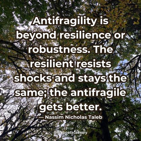 A social post from @lifeboatacademy which says: “Antifragility is beyond resilience or robustness. The resilient resists shocks and stays the same; the antifragile gets better.”
— Nassim Nicholas Taleb
Text superimposed on an image looking up into a canopy of trees, where the branches of each tree comes close but do not touch.