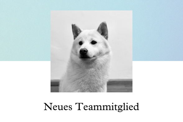 Schwarz Weißes Bild von einem Hund. Darunter der Text: "Neues Teammitglied"