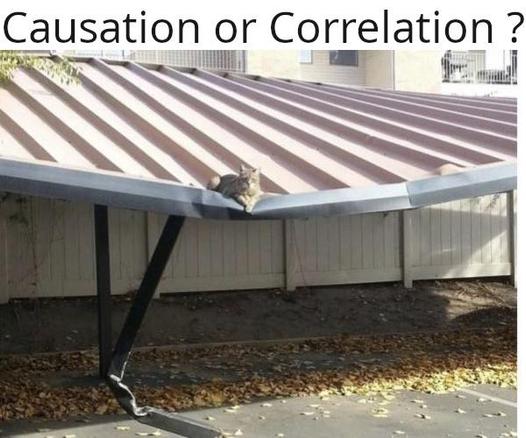 A cat on a roof, caisation or correlation ?