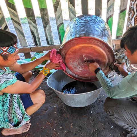 Two Huni Kuin men filtering ayahuasca.