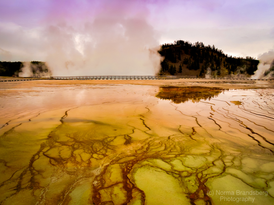 Yellowstone Prismatic Spring, an ethereal view available here:

https://www.pictorem.com/1965902/Grand%20Prismatic%20Spring%20A%20Kaleidoscope%20in%20Yellowstone.html

https://fineartamerica.com/featured/grand-prismatic-spring-a-kaleidoscope-in-yellowstone-norma-brandsberg.html