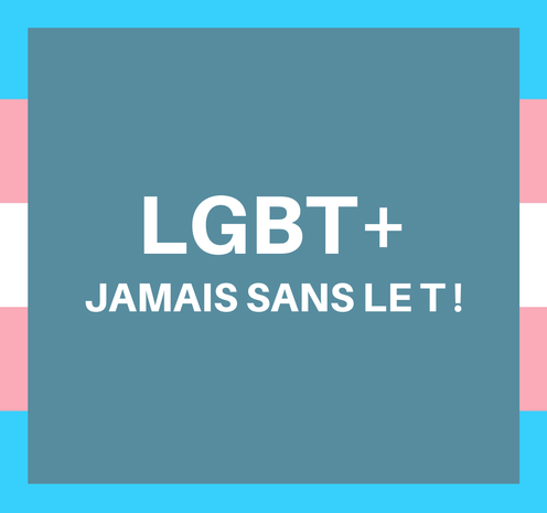 Transgender pride flag made up with white, pale pink and blue stripes. The following french words on the flag: LGBT+ JAMAIS SANS LE T.
English Translation: There is no LGBT+ without the T.