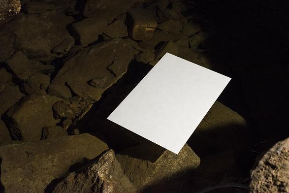 Feuille déposée à la surface de l'eau.