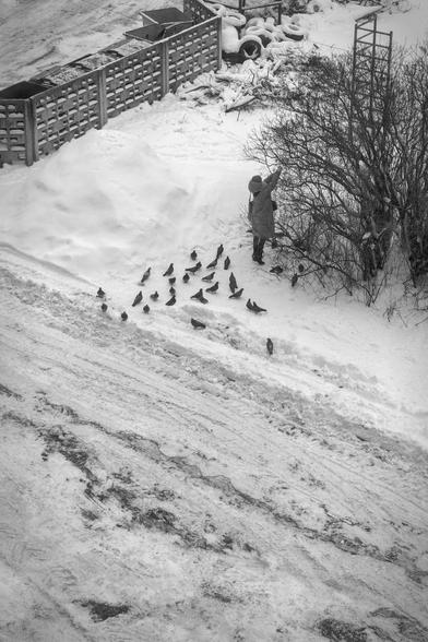 In the monochrome photo (top view from the window), a girl is feeding birds, and there are many pigeons on the ground behind her, waiting for food.