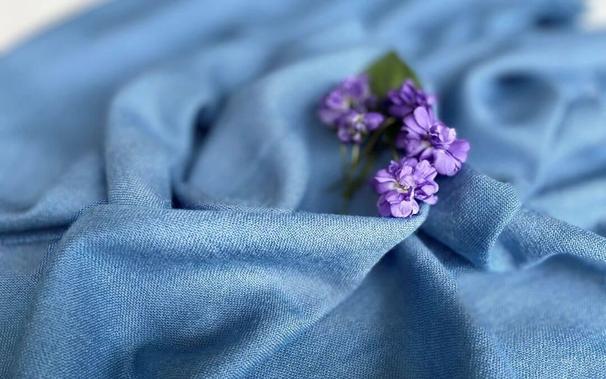 violette