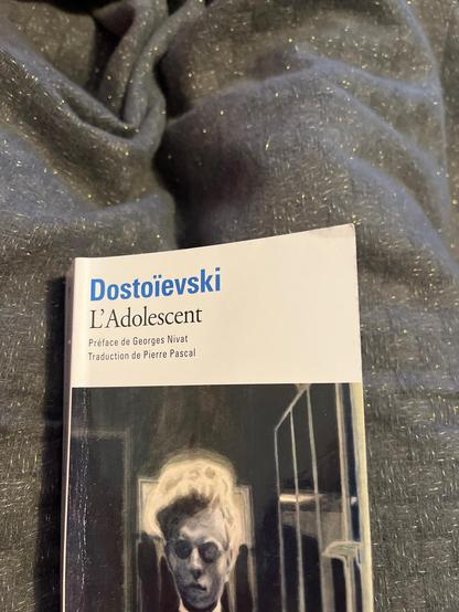 Photo de la couverture de l’adolescent de Dostoievski sur fond gris