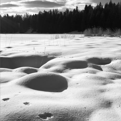 Un lago alpino ricoperto di neve e alberi in lontananza