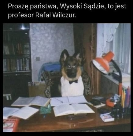 Proszę państwa, Wysoki Sądzie to jest profesor Rafał Wilczur!