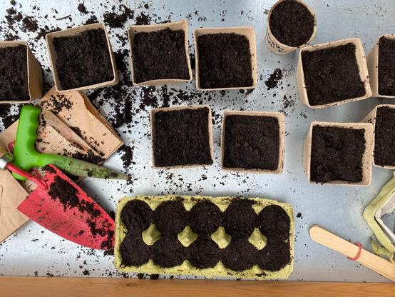 The setup includes now biodegradable pots alongside an egg carton filled with soil for starting seedlings. There is loose soil over the workspace. It also includes the same tools as in the previous image.