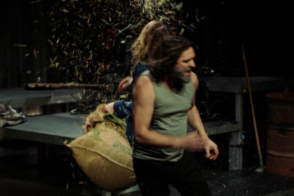 Seigneur des porcheries © Kevin Dochain