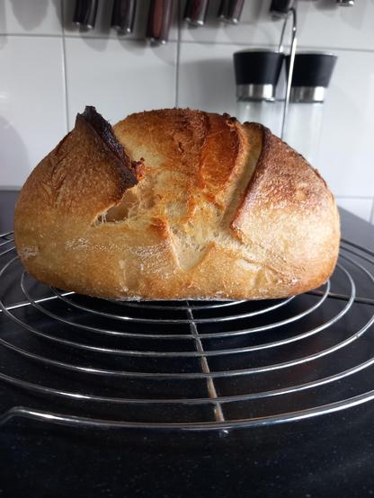 Loaf of homemade sourdough bread