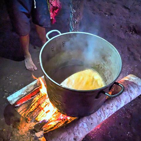 A metal pot with ayahuasca brew simmering.