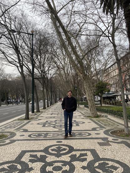 Me standing on a patterned cobblestone sidewalk lined with bare trees. The scene is set in an urban area, with buildings and a road visible in the background under a cloudy sky.