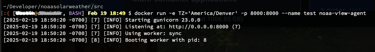 A screenshot of a terminal printout after launching the docker container I just built. It looks like it is running correctly and the result from access it from a browser is what is expected.