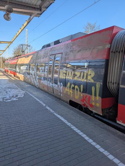 Le train est tagué sur une caisse entière et couvert de boue marron. On y lit "beau nouveau monde marron" en reference à la montée des partis fascistes en Allemagne, particulièrement dans les régions de l'est comme pour le Brandenburg. Le Tag continue "propositions de nouvel habillage de la rame après les élections" "de belles perspectives ?" "Non à l'AfD!!"
