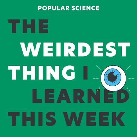 Text: Popular Science. The Weirdest Thing I Learned This Week
The cover displays the title in the green background with a picture of an eyeball above -ed letters in a 'learned' word. Words 'weirdest things' marked white, whereas the rest tile is black.