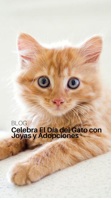 El Día del Gato está aquí 🐱
¿Quién manda en casa? Si tienes un gato, ya conoces la respuesta. 

Celebra su día con joyas inspiradas en felinos. 🐾

🔗 Descubre más en nuestro blog.
Link en la bio

https://hhedderich.com/blogs/afiliado/celebra-dia-del-gato-con-joyas-y-adopciones

#hhedderich #blog #TheJewelryReport #guiaregalo #diainternacionaldelgato #catday #DíaDelGato