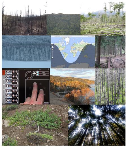 Les flux sonores captés en continu sur Internet restituent des fragments de forêts d’Europe, d’Asie, d’Amérique du Nord… Ces résonances se mêlent dans l’espace d’écoute, projetant un ailleurs aléatoire.

Une écoute active, où l’enjeu est à la fois poétique et politique : comment convoquer le rhizome du web comme une allégorie du rhizome végétal et racinaire des forêts originelles ?
Le public devient alors témoin d’un paysage acoustique en perpétuelle mutation, qui se réinvente ici tout en existant simultanément ailleurs sous forme de flux continu, ouvrant ainsi des territoires auditifs singulier.

Il s’agit d’être dans l’instant T, dans une composition en temps réel, façonnée par des sources sonores non idiomatiques et non mémorisées.
