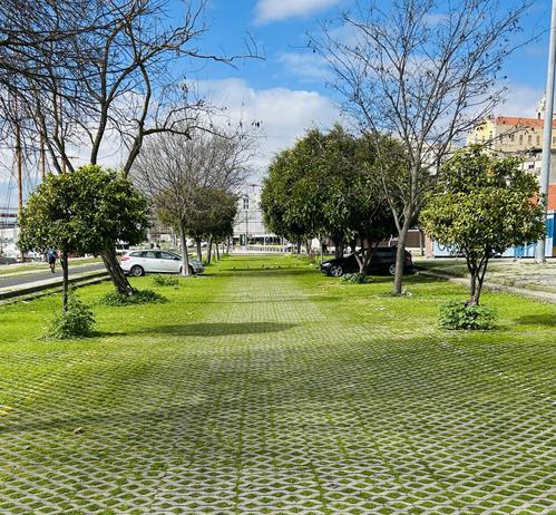 A lot lined with trees, featuring green grass growing through patterned pavement. In the background, a few parked cars are visible, with a blue sky overhead.