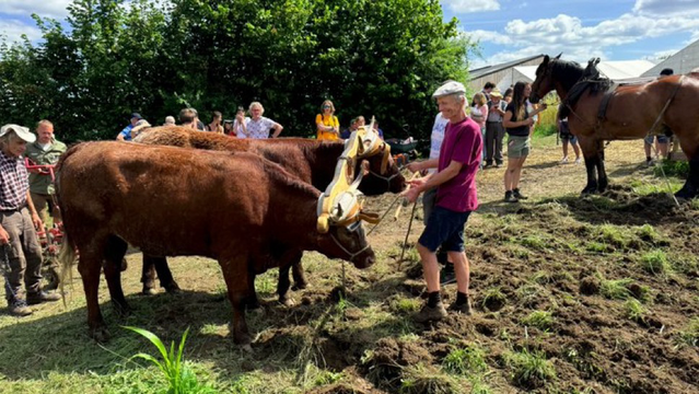 🚜🧑‍🌾🌾🇺🇳 #UNDROP The #United Nations working group of experts on #PeasantsRights is launching a new call for inputs (until 21 March 2025) from #peasants organisations on global trends and challenges affecting peasants and other people working in rural area. ➡️ https://www.ohchr.org/en/calls-for-input/2025/call-input-global-trends-challenges-affecting-peasants-and-other-people  #PeasantsRightsNOW! 