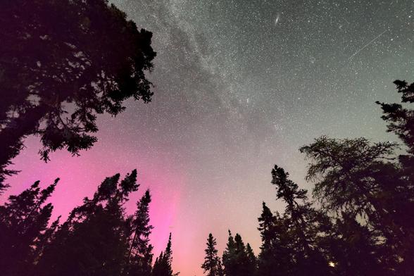 Night time image - looking up into the sky (and towards north). To the left, bottom and right, there are shadowy outline of tall fir trees. Running almost vertically is the Milky Way. The Milky Way is patchy and white. To the lower left behind and just above the trees the sky is reddish-pink, which is the northern lights/aurora.

Near top right edge of image is a small oblong patch of white, which is the andromeda galaxy. The sky background in this area has a somewhat green hue which might also be due to aurora (or perhaps bad image processing skills!).