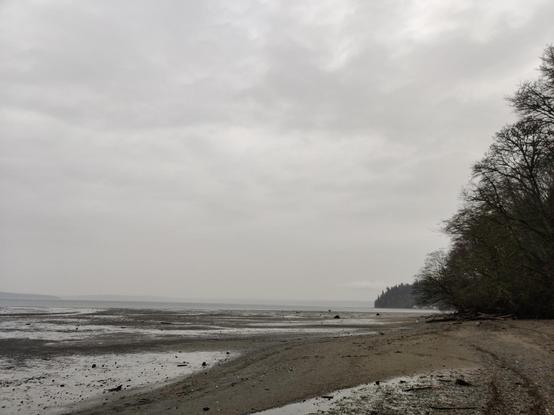Grey skies above a beach at low tide.