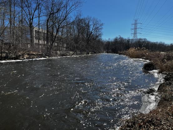 Sun diamonds the surface of the Passaic river. Ice crusts its vegetated bank on the left and its crumbling concrete bulwark on the right. An office building stares from behind bare trees. High-tension electrical transmission lines form polygons in the blue sky.