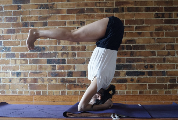 Ūrdva (Upward Facing) Daṇdāsana (Staff Pose) 