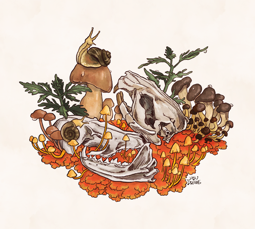 Two skulls resting on an orange bed of moss, surrounded by several kinds of mushrooms big and small. One mushroom and one skull have snails on them. 