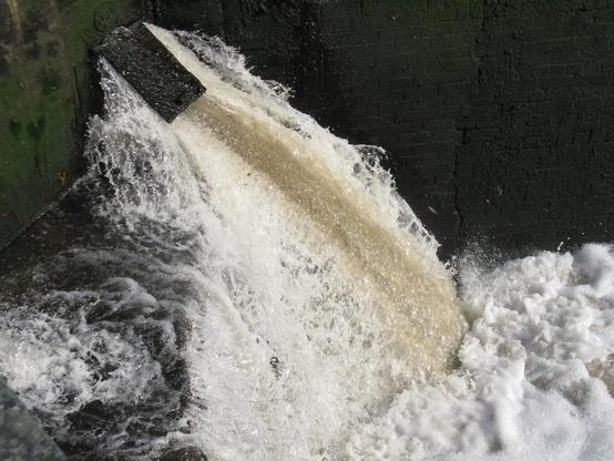 A photo titled "Badger water, Stenson", taken near Lock 6, Stenson Lock by shaggy359 on Flickr.