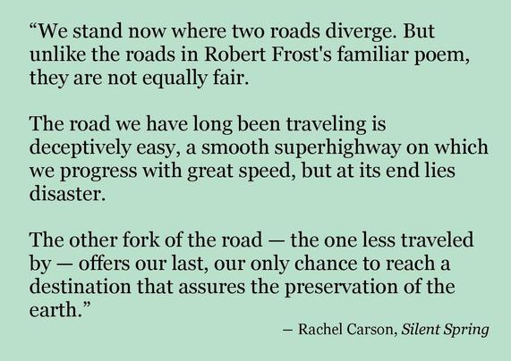 "We stand now where two roads diverge. But unlike the roads in Robert Frost's familiar poem, they are not equally fair.
The road we have long been traveling is deceptively easy, a smooth superhighway on which we progress with great speed, but at its end lies disaster.
The other fork of the road - the one less traveled by - offers our last, our only chance to reach a destination that assures the preservation of the earth." -from Silent Spring by Rachel Carson