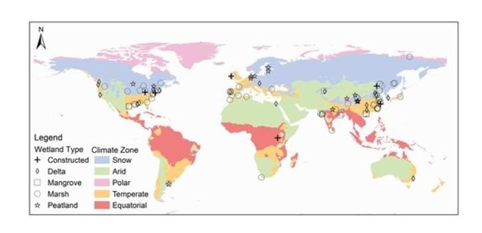 Sample locations in different wetlands and climate zones included in this study. Sample locations were obtained from 182 studies found by searching the Web of Science database in November 2021. Climate zone data were obtained from https://www.britannica.com/biography/Wladimir-Peter-Koppen.