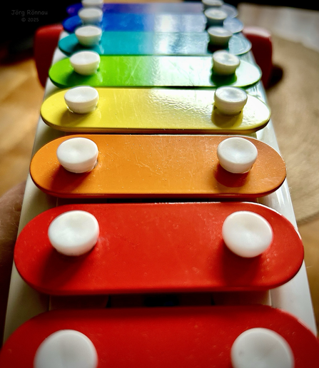 Das Bild zeigt die Nahaufnahme eines Kinder-Xylophons. Die einzelnen Klangstäbe sind in Regenbogenfarben lackiert und mit weißen Knöpfen versehen. Der Fokus liegt auf den mittleren Klangstäben, während die oberen und unteren unscharf dargestellt sind.