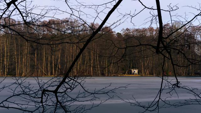 A frozen lake framed by bare tree branches, with a small wooden hut on the distant shore. The surrounding forest stands tall in the background under a pale winter sky, creating a quiet and serene atmosphere.