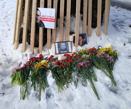 In Boston Common last weekend waiting to march in our protest, I spotted this memorial for Alexei Navalny up against a tree. The tree is protected with a lot of thin slats of wood wrapped around the base. A photo card with Navalny's picture is there that says "Don't Give Up" in English and I presume Russian. Another small black and white photo at the base of the tree says 1976-2024. Another photo says Alexei Navalny Patriot A Memoir (I think it's the book cover).

Adjacent to the tree are some plastic battery operated candles that are flickering. About 2 dozen bunches of flowers, now frozen overnight, rest in the hard packed snow beneath all the photos. Pink ones, roses, yellow daisies, more roses, purple mums, orange mums, baby's breath, others I can't identify. 