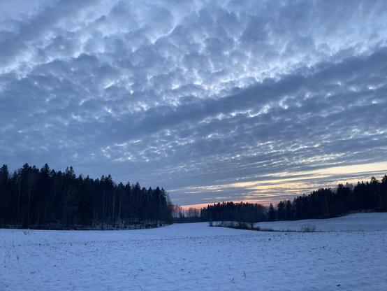 Luminen peltoaukea, taustalla metsää, auringonlaskun värjäämiä pilviä taivaalla.