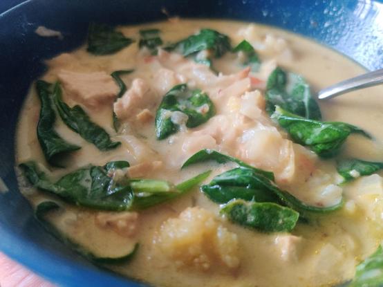 A nourishing bowl of pale curry. It's got a lot of cauliflower going on, with some spinach leaves standing out where they aren't quite submerged.