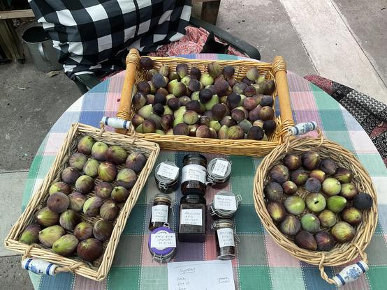 Fresh figs in baskets with handles to carry; two are rectangular one is circular 
The figs are green skinned turning purple as they ripen.
Sited on a round table, a tablecloth made up of green Blue pink and white squares.
In the centre of Photograph are eight small glass jars with silver metal clasp lids inside are brown chutney contents. The jars and labelled and a Contents eg figs, vinegar, apple-pears, sugar are listed on a sheet of white paper.

On edge of photo is a cat’s head seen from behind thus two ears are silhouetted against a chair covered in check - black and white - pattern cover.
