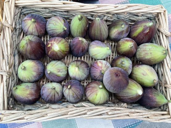 Photograph:
A rectangular light brown woven cane basket containing 24+ green - turning purple as they ripen - skinned figs 