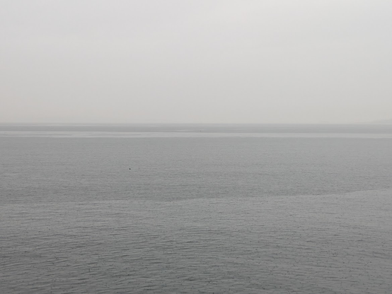 ...grey rainy sky over Puget Sound and metal-grey water,  with most of the rest of the world mostly gone, as seen from Alki Beach in West Seattle