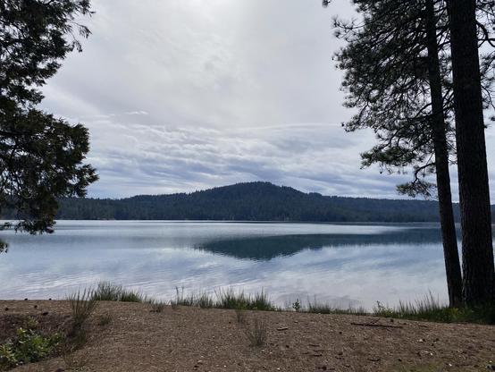 A tranquil lakeside scene featuring calm waters reflecting a cloudy sky, surrounded by green pine trees and distant mountains. The foreground shows a sandy area with sparse grass and small plants.